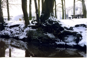 F31 Kasteel Vorden restant watermolen 1993